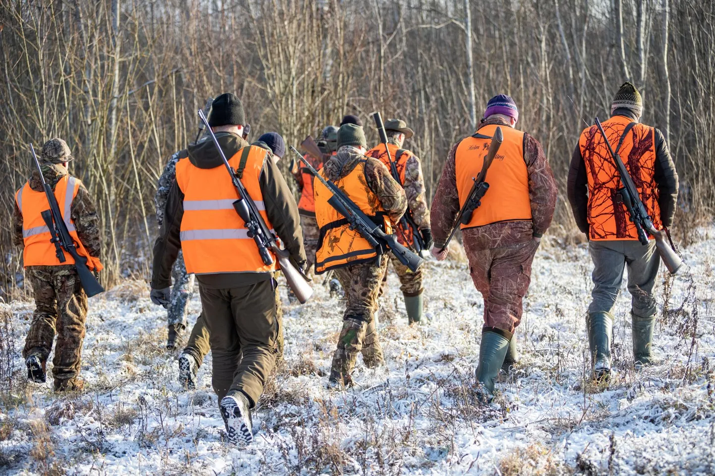 Jahimeestel on juba ­esimesest seakatku­puhangust kogemus ­metsas ­lahtiste silmadega käia, et võimalikud korjused ruttu üles leida. Head abilised on kõva häält tegevad linnud.