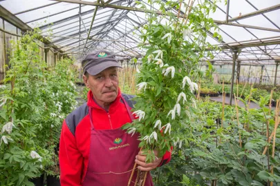 Seedri puukooli peremees Elmar Zimmer.