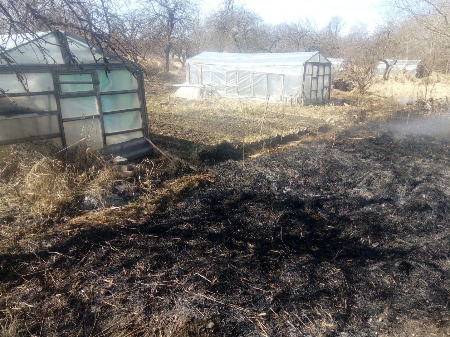 Eile kutsuti päästjad Kundasse, kus aiamaal põles umbes 65 ruutmeetri ulatuses kulu. 