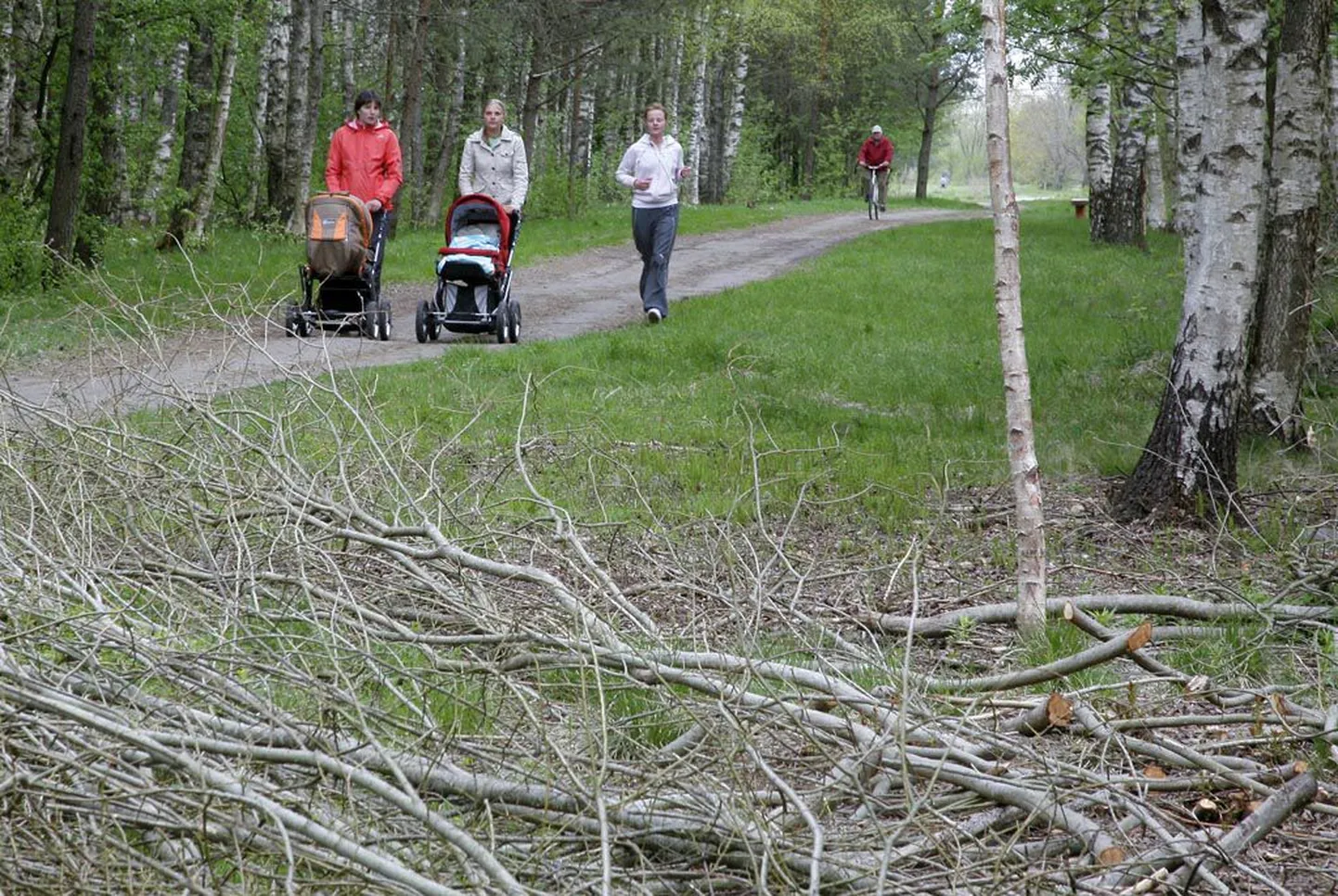 Hiljemalt mai lõpuks saab Raja ja Saare tänava vahel asuv park jälle ilusaks.
