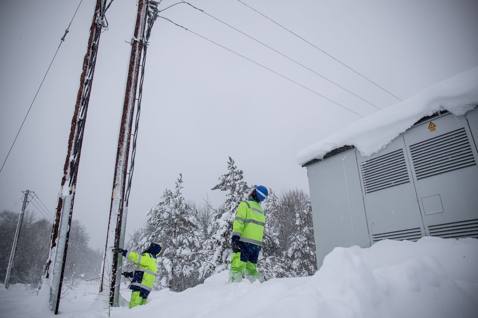 Последствия бури: крупные аварии на Сааремаа удалось устранить только к ...