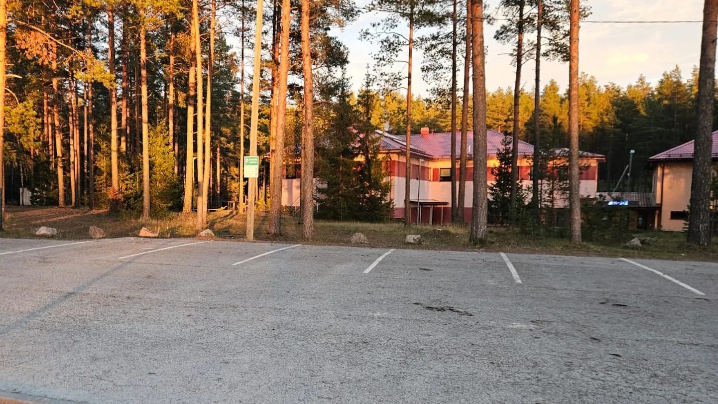 Artikli foto