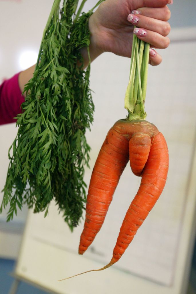 Морковка из бумаги своими руками для детей (шаблоны)