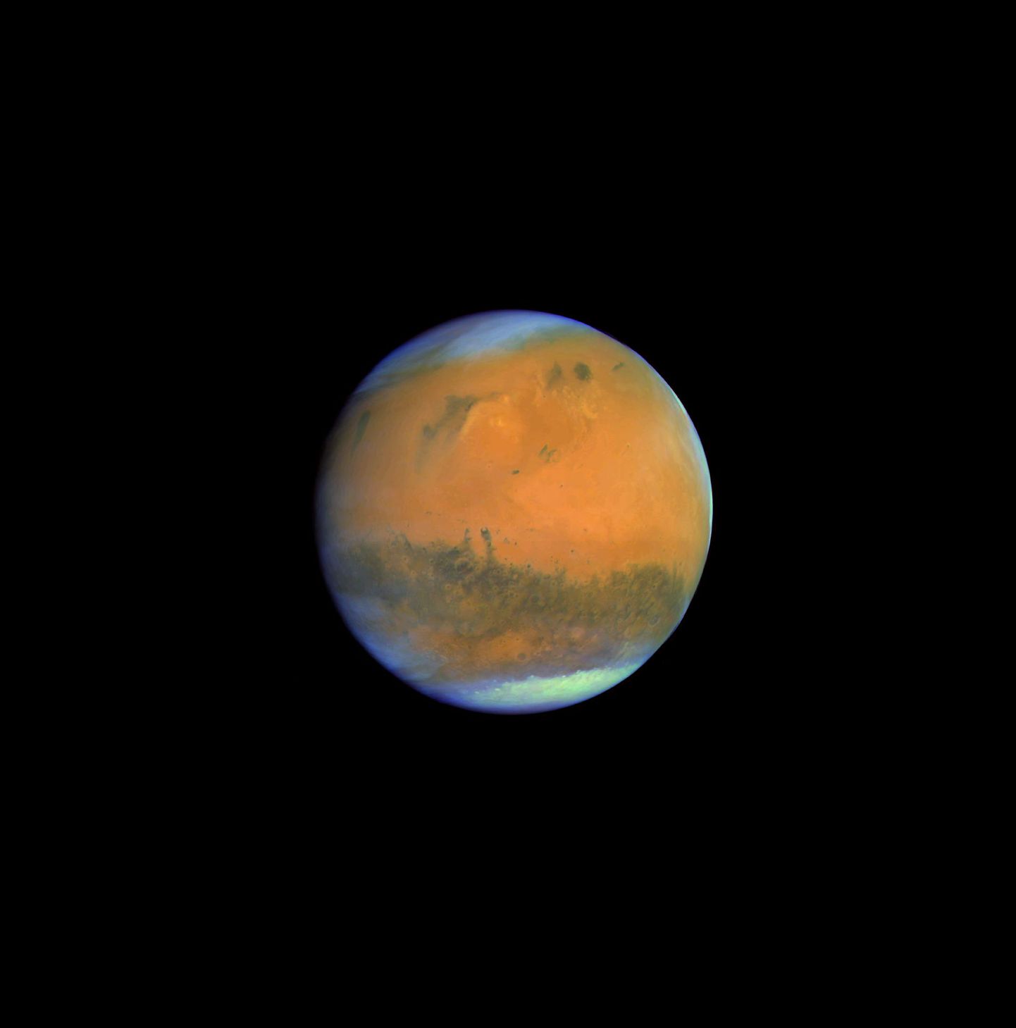 NASA avastas Marsil «puid»?