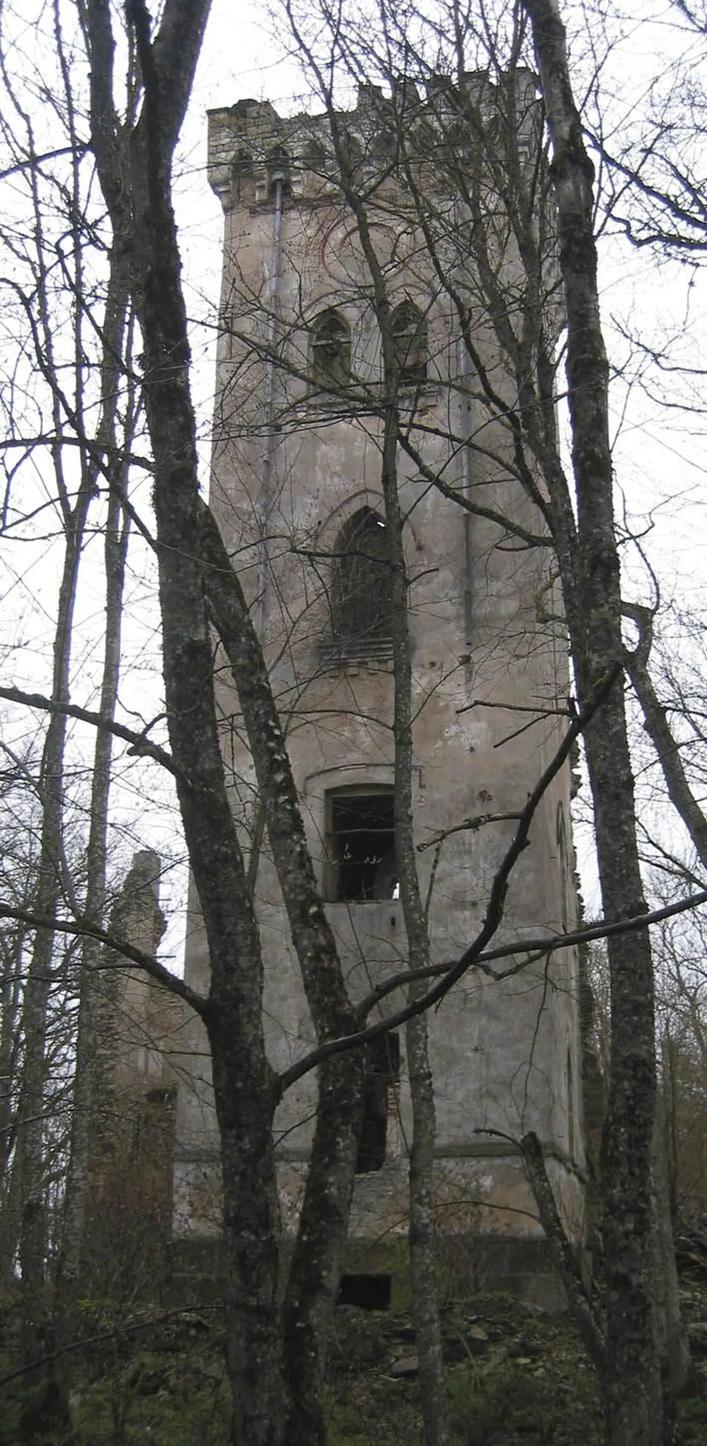 Tõõrakõrve külas asuvast Lehtse mõisa tornist võib tulevikus saada üks Tapa valla sümbolitest, kui torni konserveerimiseks vajalik raha leida suudetakse.