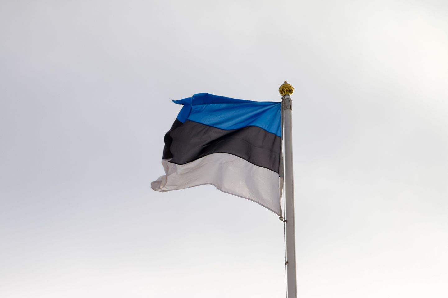 Täna heistatakse Vabadussõjas võidelnute auks Eesti lipud.
