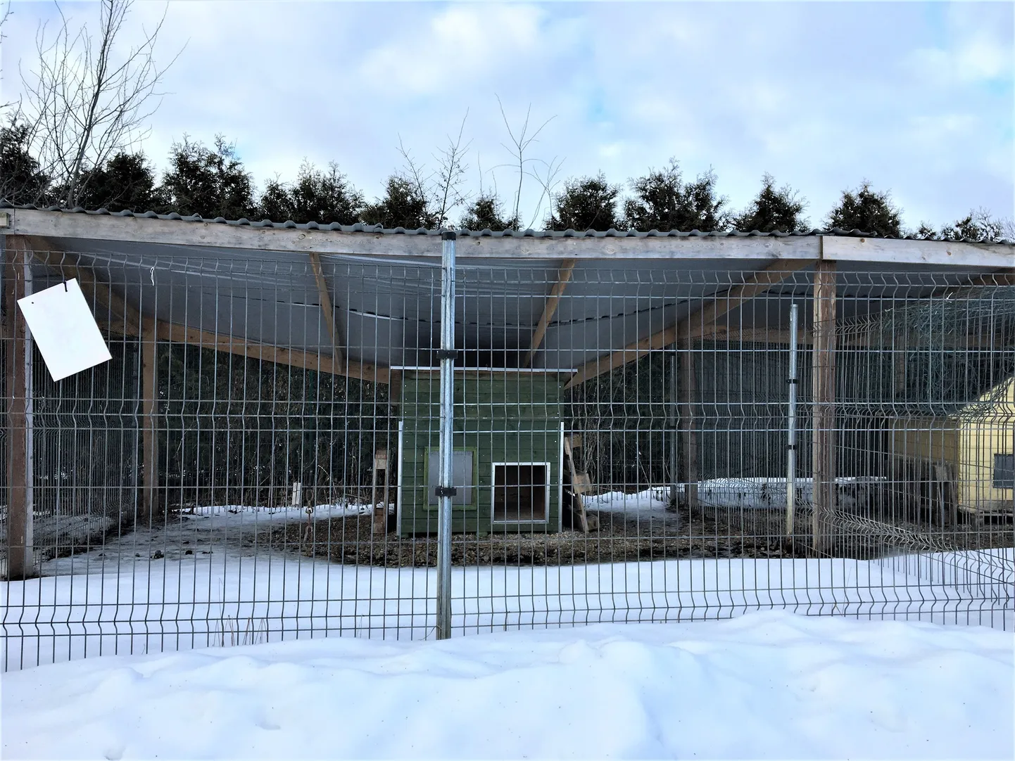 Võru loomade varjupaigas kukkus sisse koerte väliaediku katus.