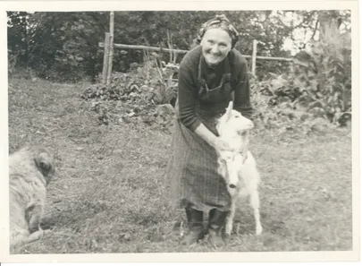 Artikli foto