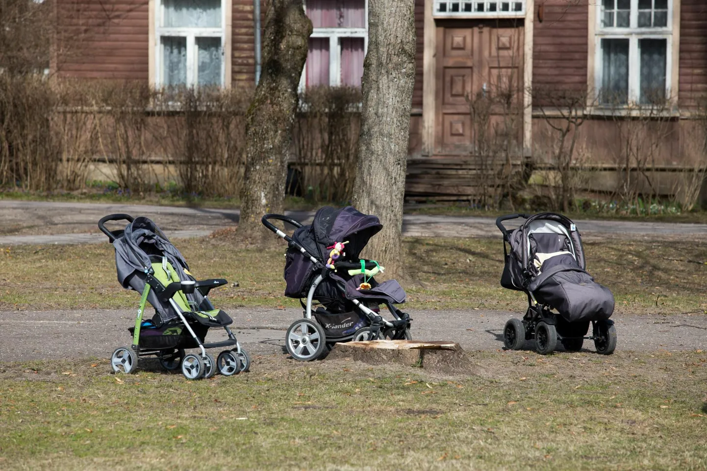 Lapsevankrid. Pilt illustratiivne