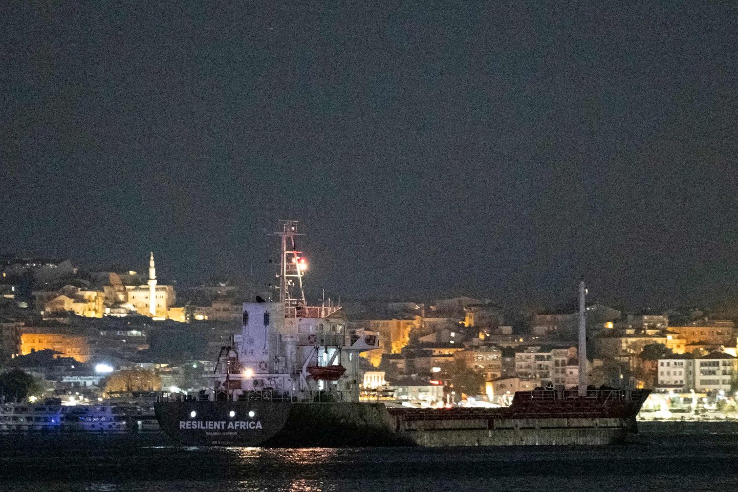Первое судно уже вернулось из Одессы в Стамбул и прошло Босфор.