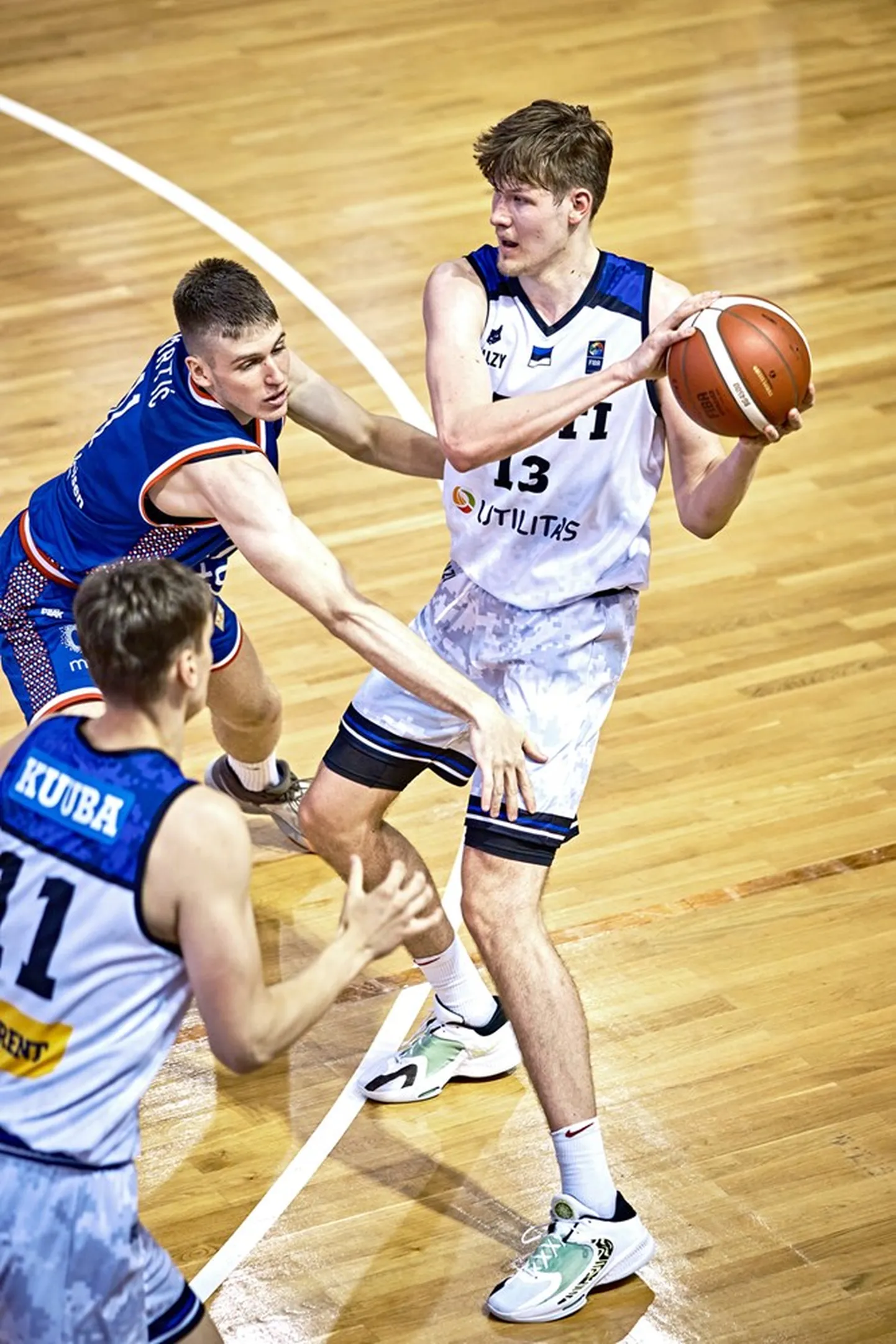 Henri Veesaar palliga.