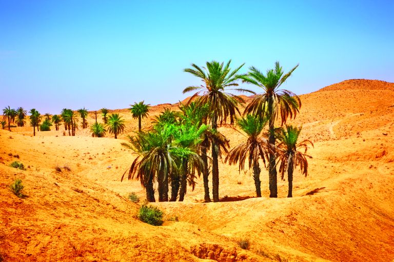 Sahāras tuksnesis Tunisijā