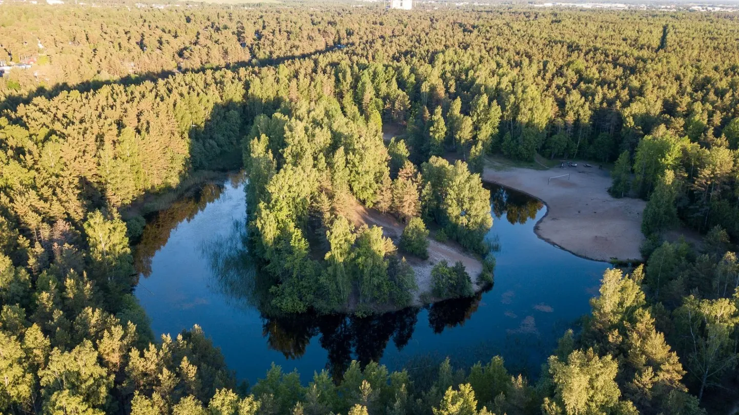 Harku metsas on väike veesilm, mille keskel on saar. Kohalik legend räägib, et kiiruisutaja Ants Antson olevat seal talviti ümber Fsaare kihutades trenni teinud.