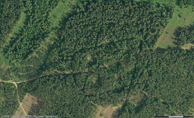300meetrise läbimõõduga heksagramm Valgamaal Rulli küla lähedal metsas. Allikas: