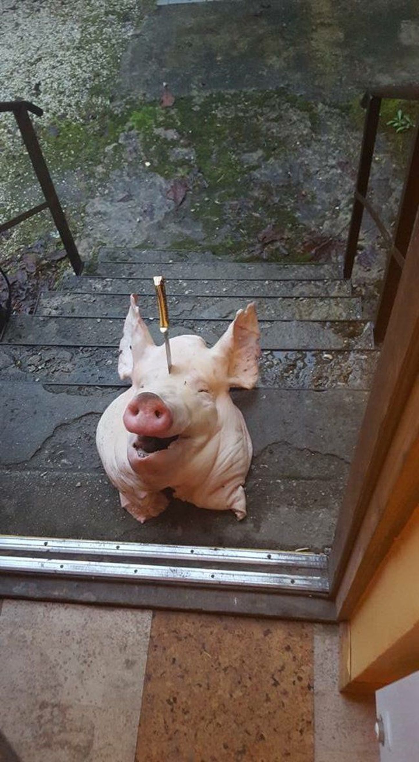 Предприниматель обнаружил у двери своего дома голову свиньи, проткнутую ножом.