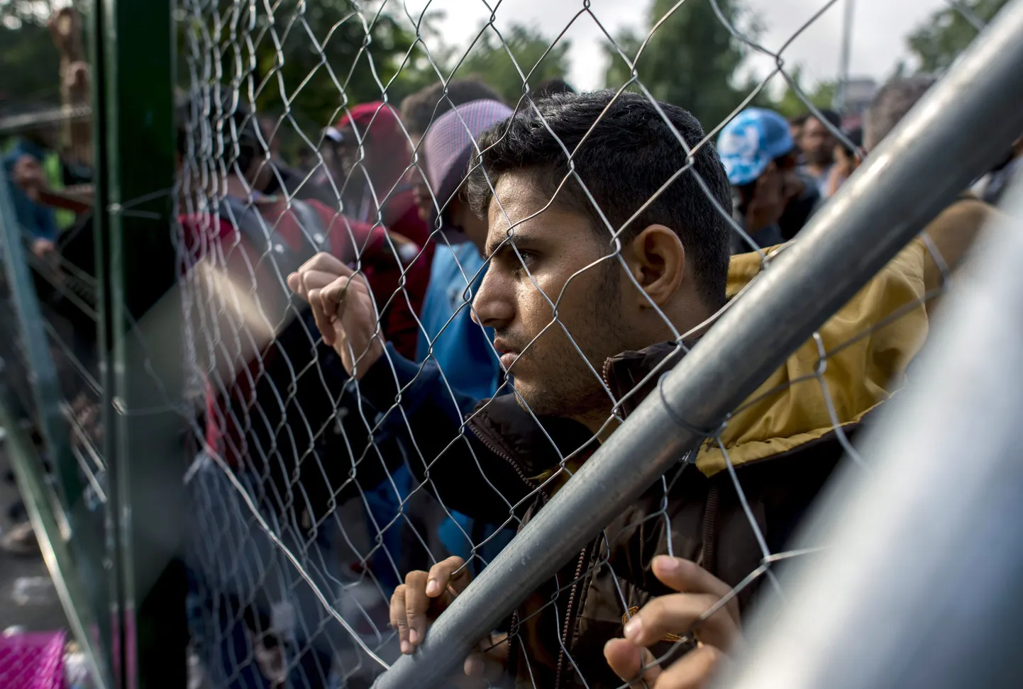 Migrant Ungari-Serbia piiril.