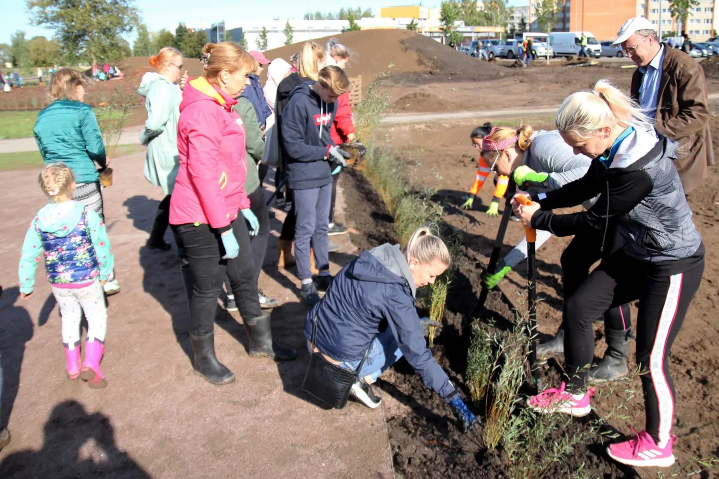 Tiitlile kandideerivad ka Võru istutustalgud.