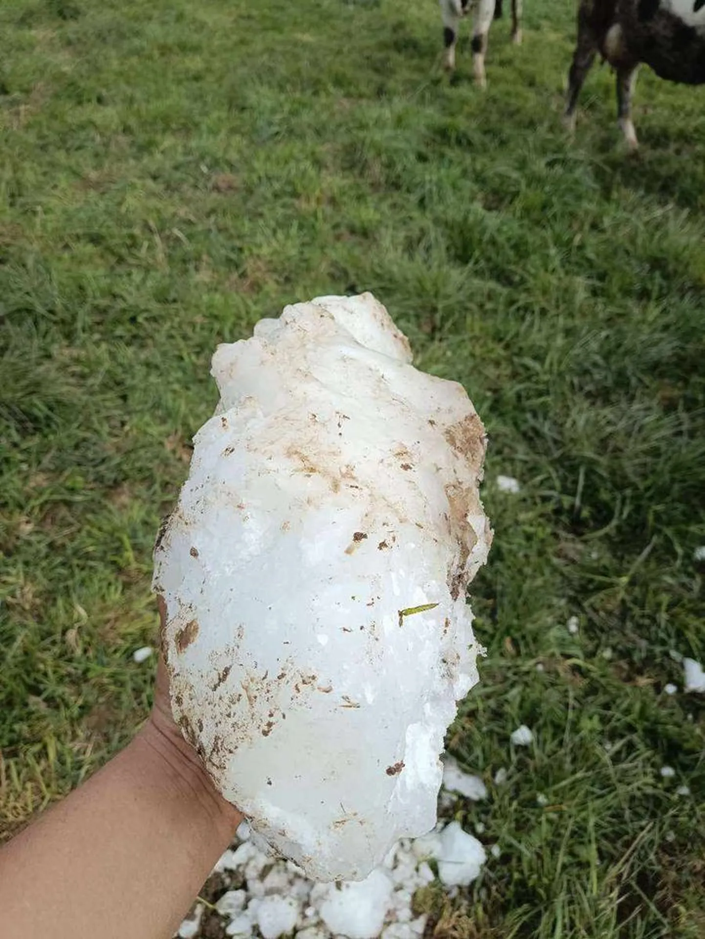 Raksta foto