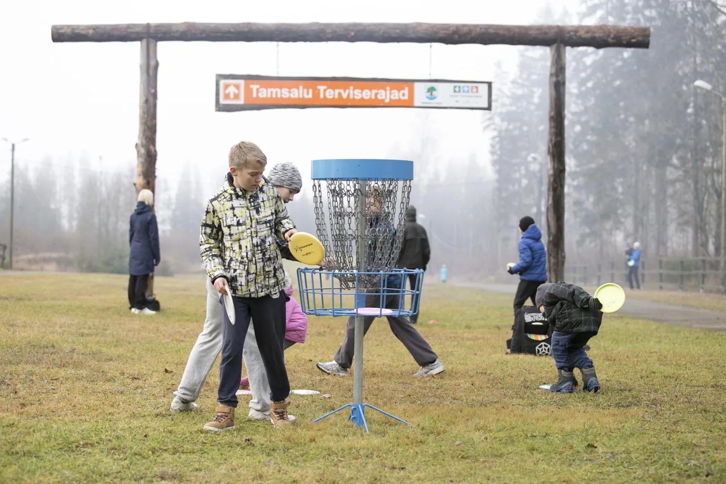 Tamsalu terviseraja naabrusesse rajatakse kaasava eelarve rahaga peagi madalseiklusrada.