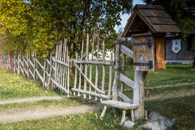 Фото статьи