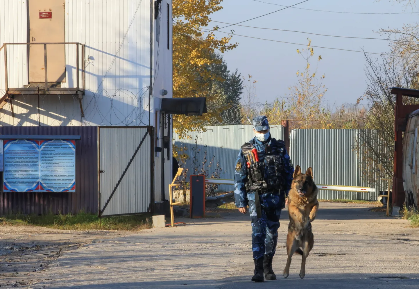 Raksta foto