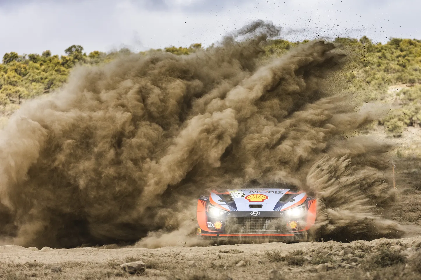 Ott Tänak ja Martin Järveoja Keenia rallil.