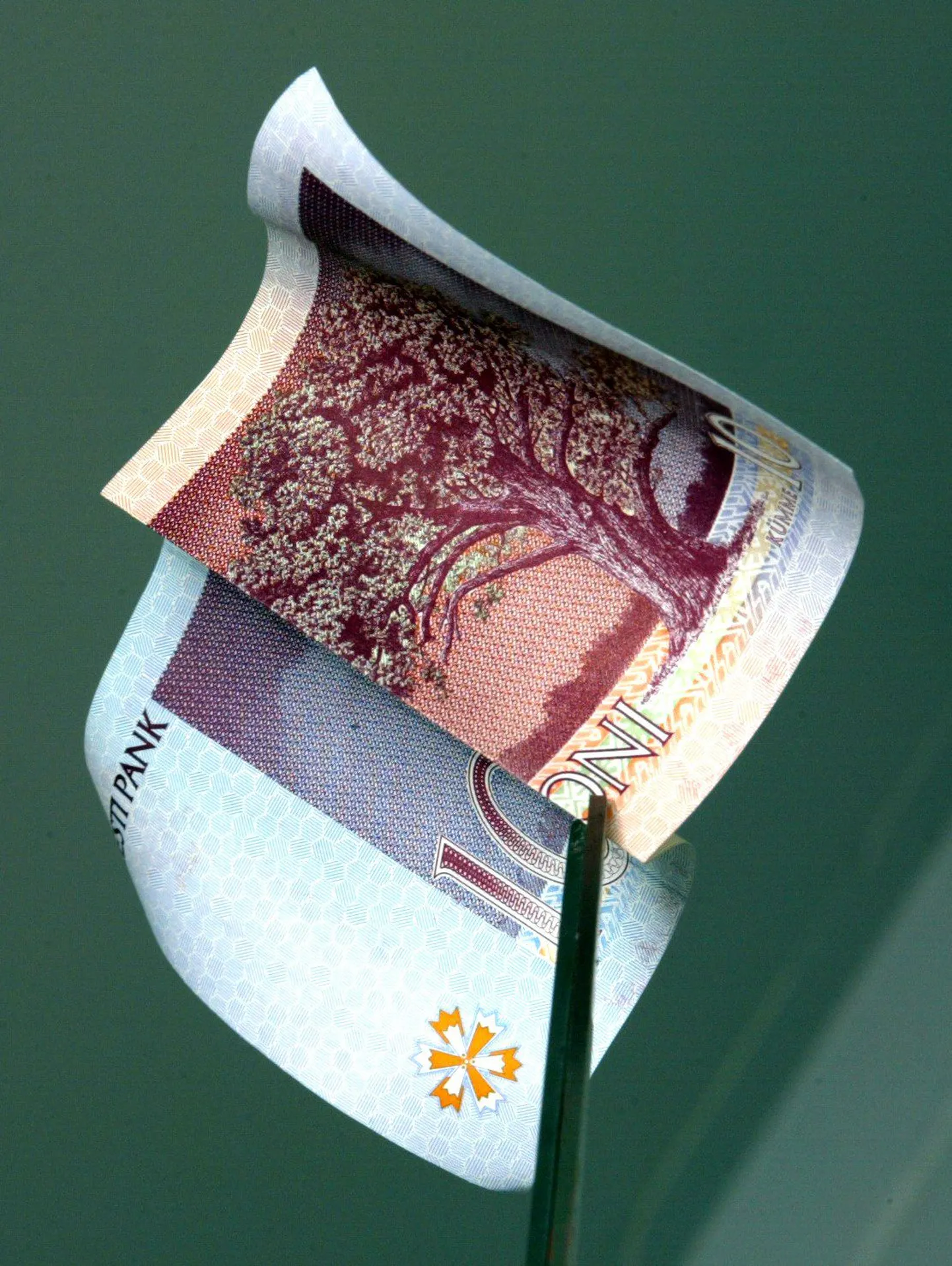 Kümnekroonine.