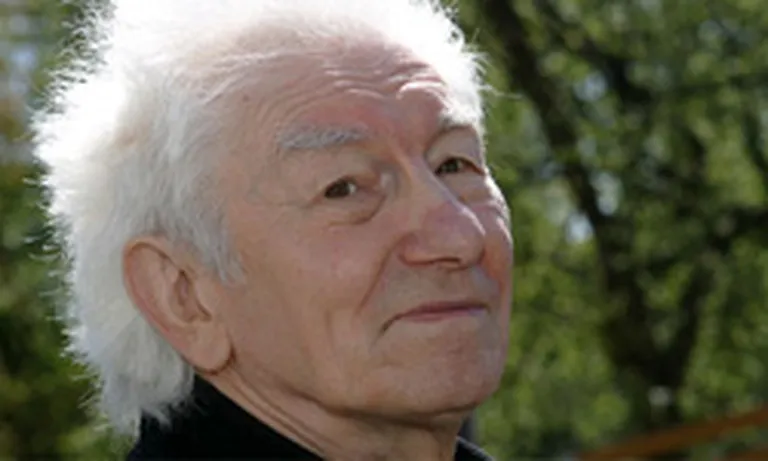 Raksta foto