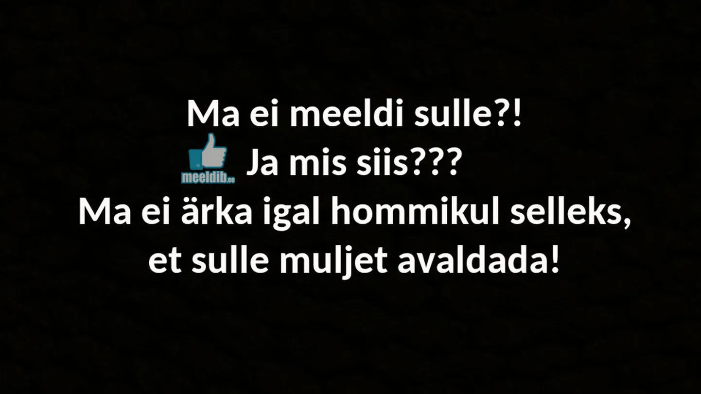 Artikli foto