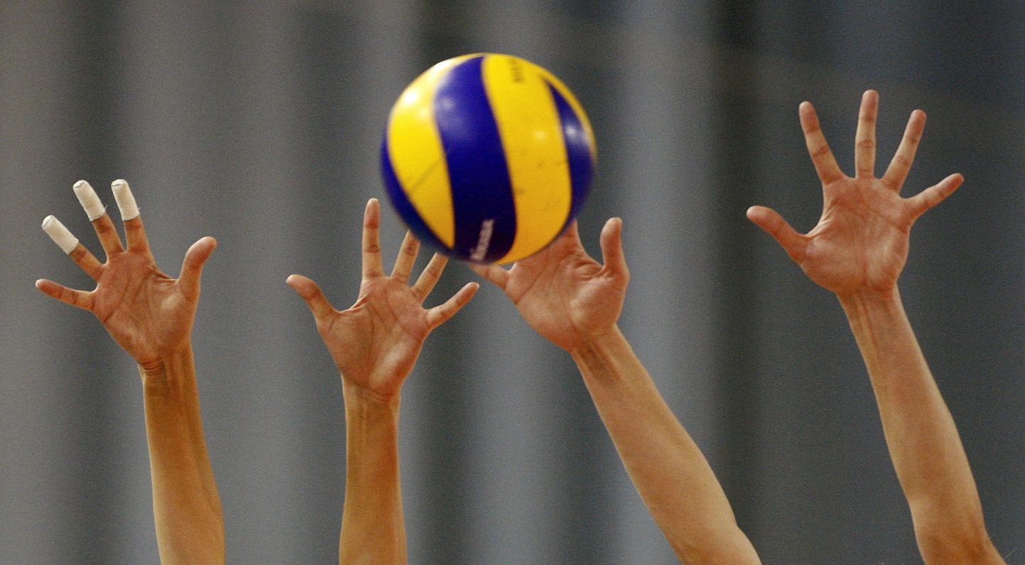 Minchanka MINSK's Olga Averyna (L) and Anna Shevchenko defend against Impel Gwardia Wroclaw during their volleyball match for the 4th Finals of the GM Capital Challenge Cup in Minsk, February 23, 2010.  REUTERS/Vasily Fedosenko  (BELARUS - Tags: SPORT VOLLEYBALL)
