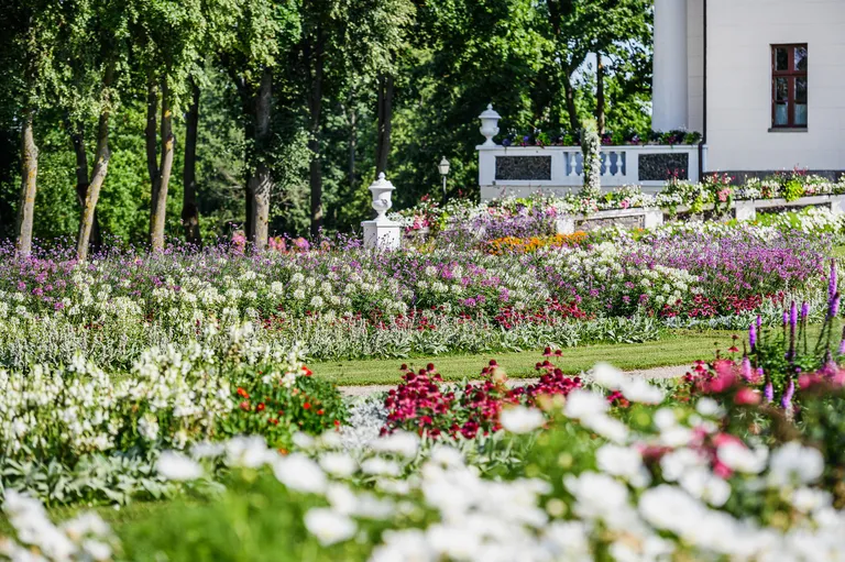 Фото статьи