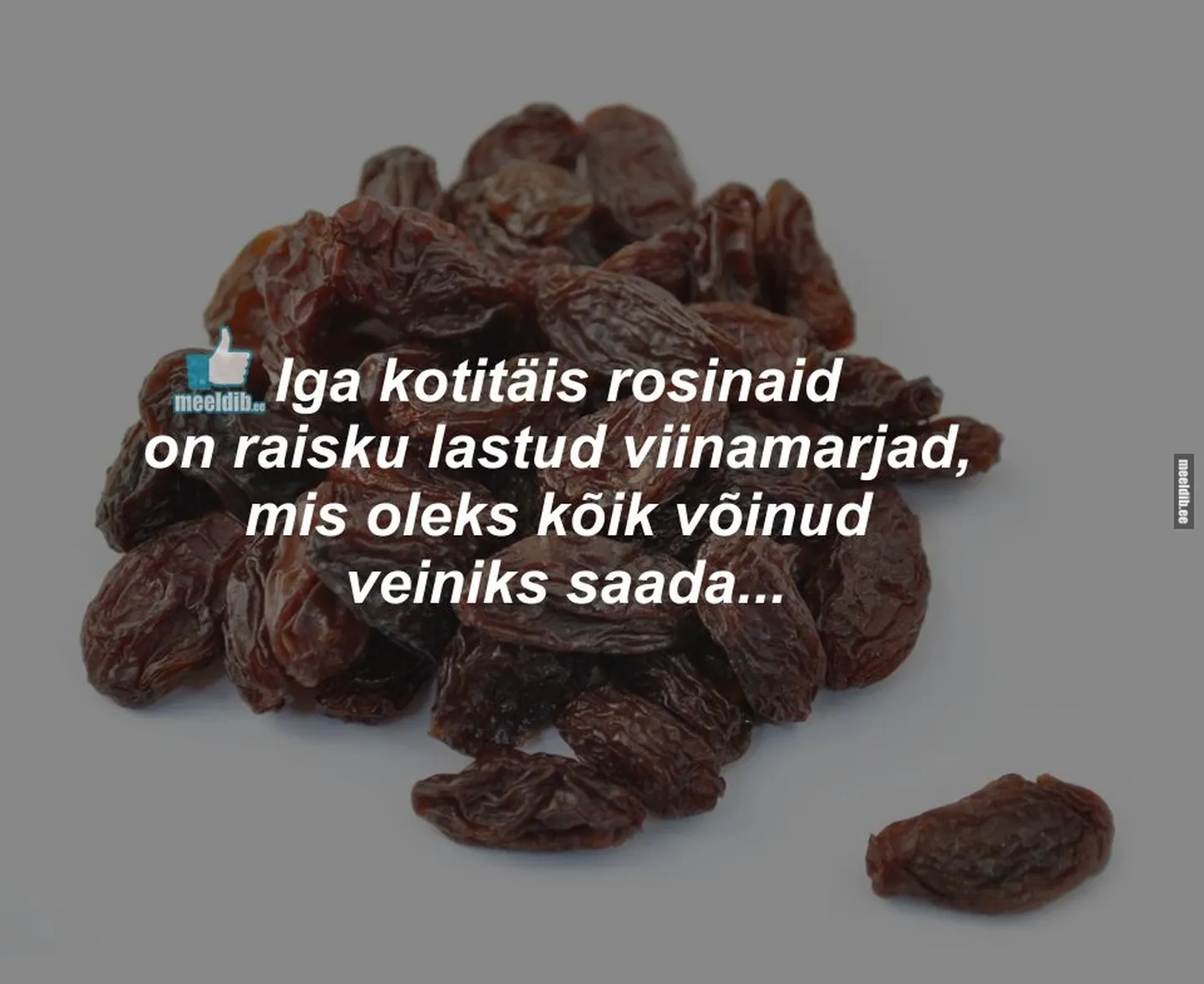 Artikli foto