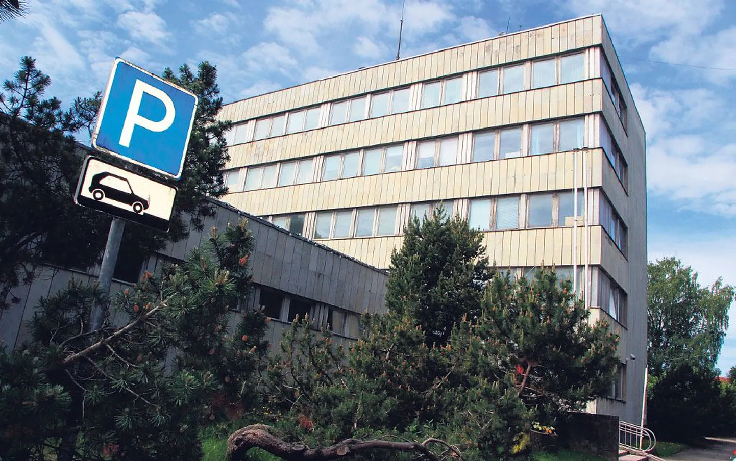 Artikli foto