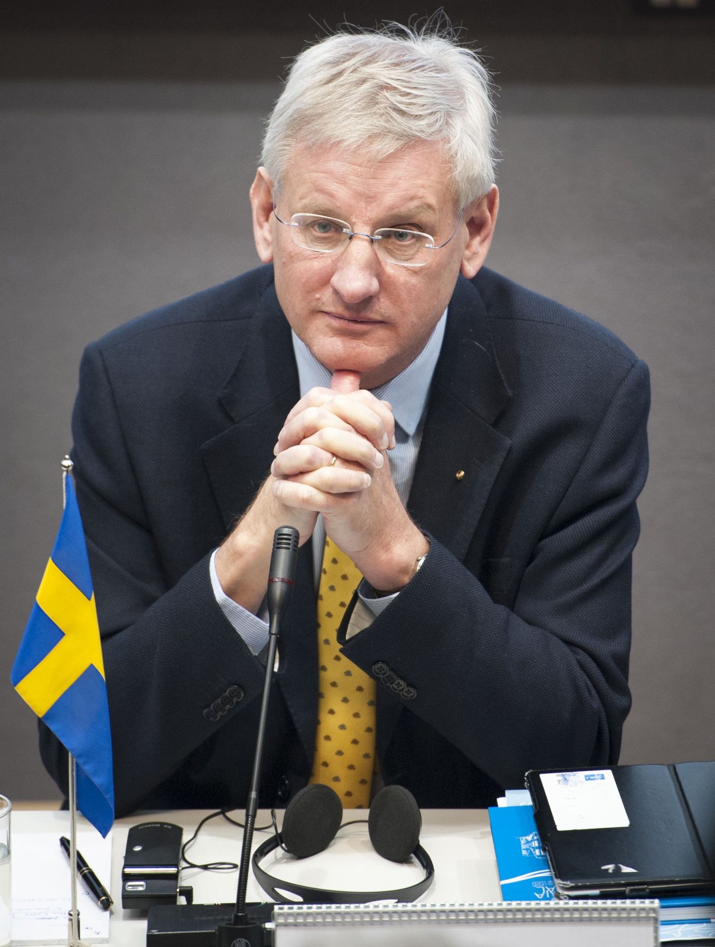 Министр иностранных дел Швеции Карл Бильдт.
