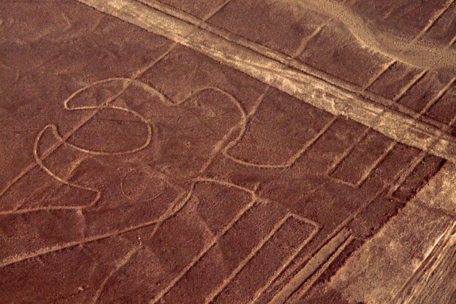 Kuulsad Nazca geoglüüfid