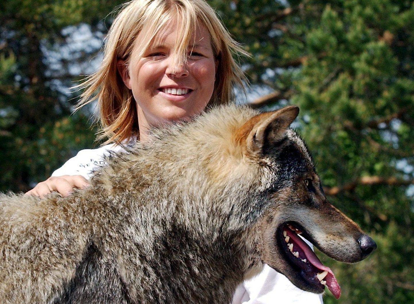 Hunt tappis Rootsi Kolmårdeni loomaaia töötaja