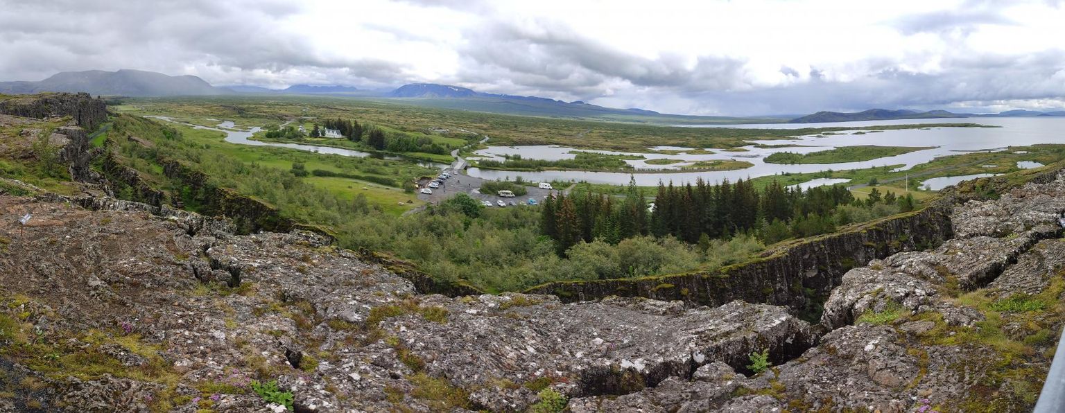 Silmapiirini ulatuv lagedus on Islandi maastiku võlu, kuid aina enam pingutatakse Islandis selle nimel, et puud siiski tagasi saada. 