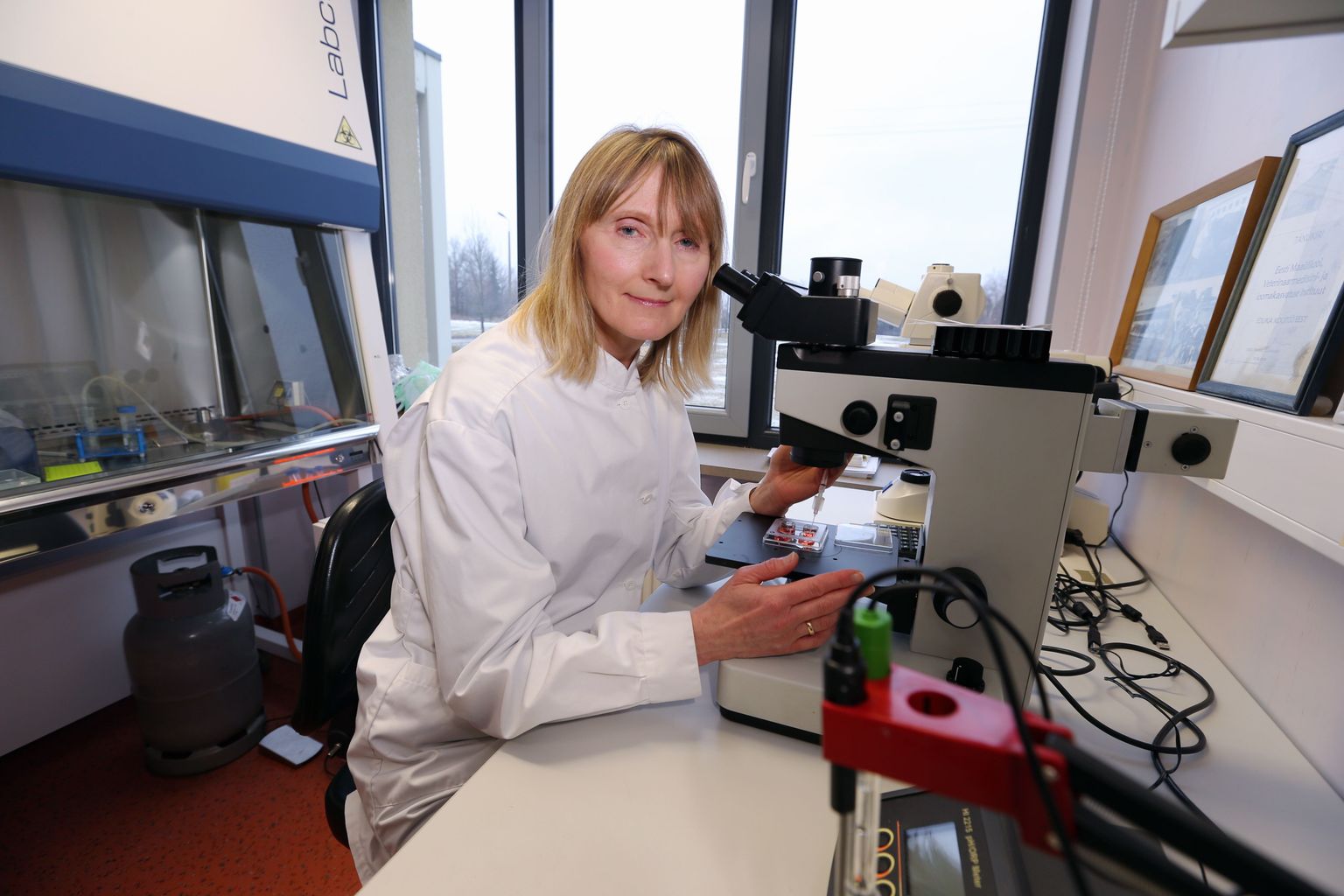 Professor Ülle Jaakma.