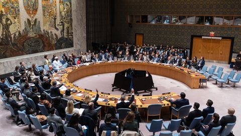 Совбез ООН поддержал мирный план Трампа для сектора Газа