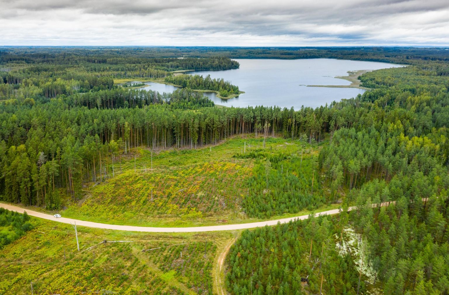 Lageraie Karula rahvuspargi külje all Aheru järve lähistel. Pilt on illustratiivne.