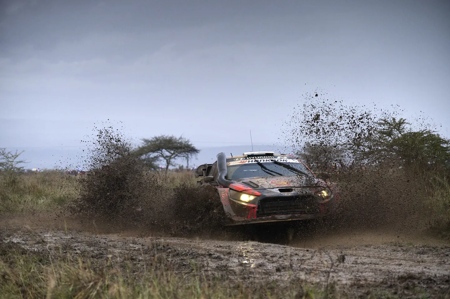 Ott Tänak ja Martin Järveoja Keenia MM-rallil.