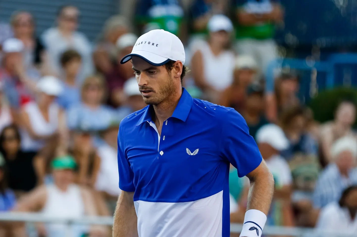 Andy Murray.