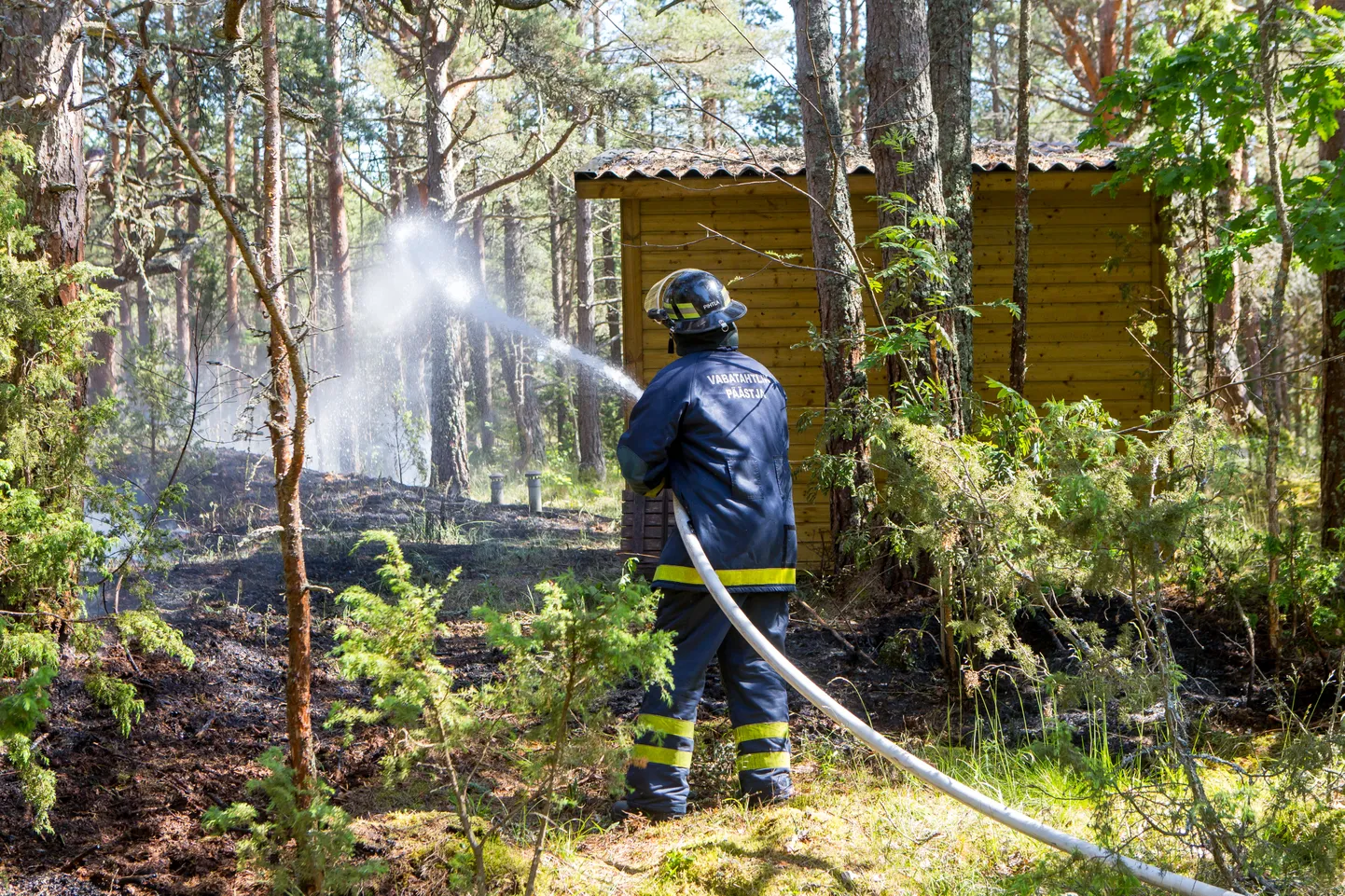 Värska alevikus Pika tänava piirkonnas põles 350 ruutmeetrit metsaalust, mille päästjad kustutasid. Foto on illustreeriv.