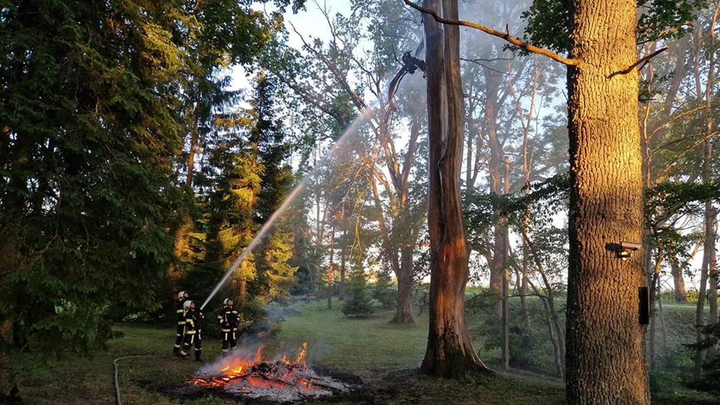 Artikli foto