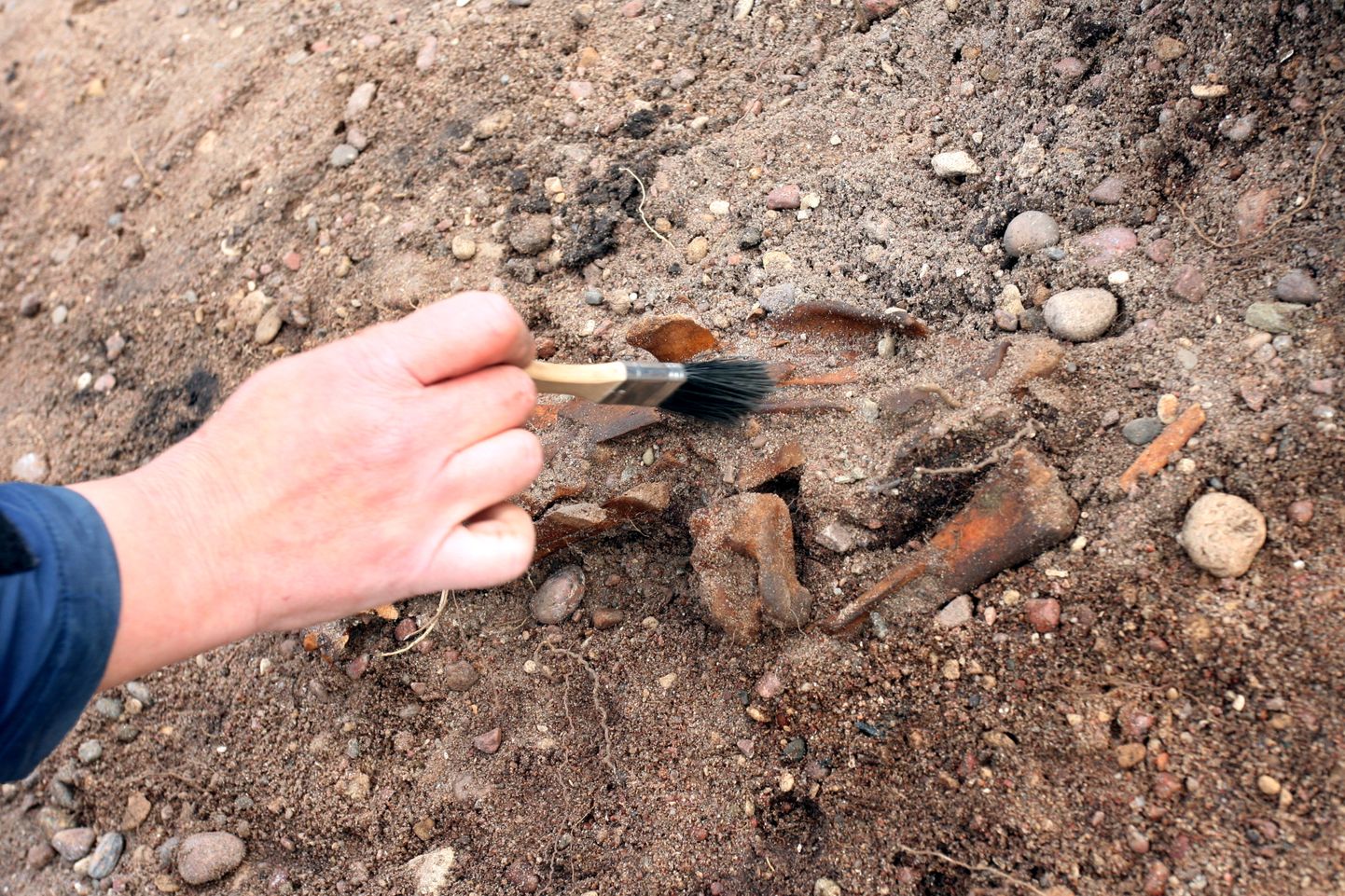 Viikingite säilmete arheoloogilised kaevamised Saaremaal Salme külas 2008. aastal.
