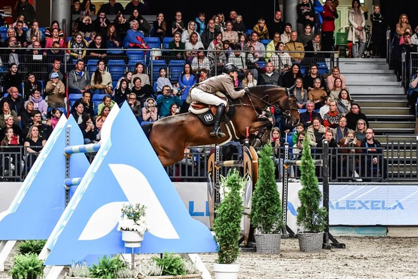 Eesti Ratsaspordi Liit ei luba Eestis toimuvatel võistlustel Venemaa sportlastel osaleda.