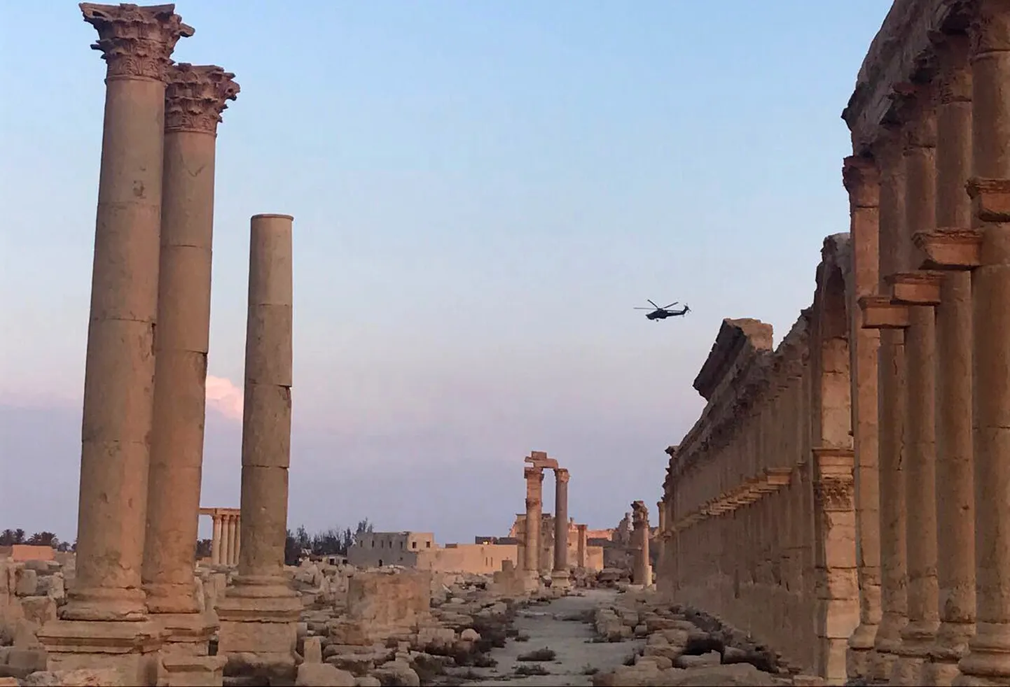 Palmyra