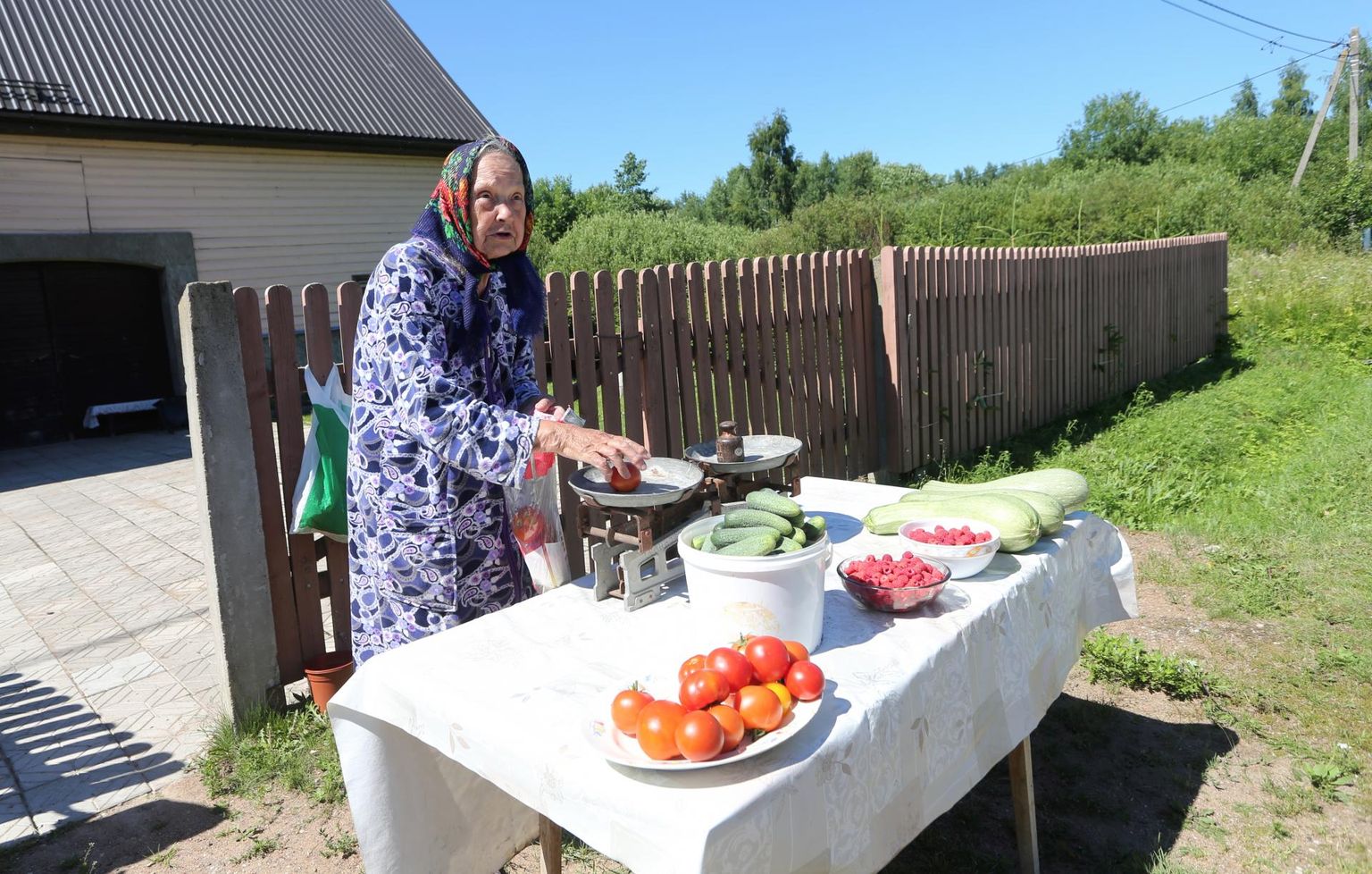 Varnjas oma koduväravas kauplev Jelizaveta Kuljova usub, et tema kasvatatud tomatite maitse räägib enda eest.