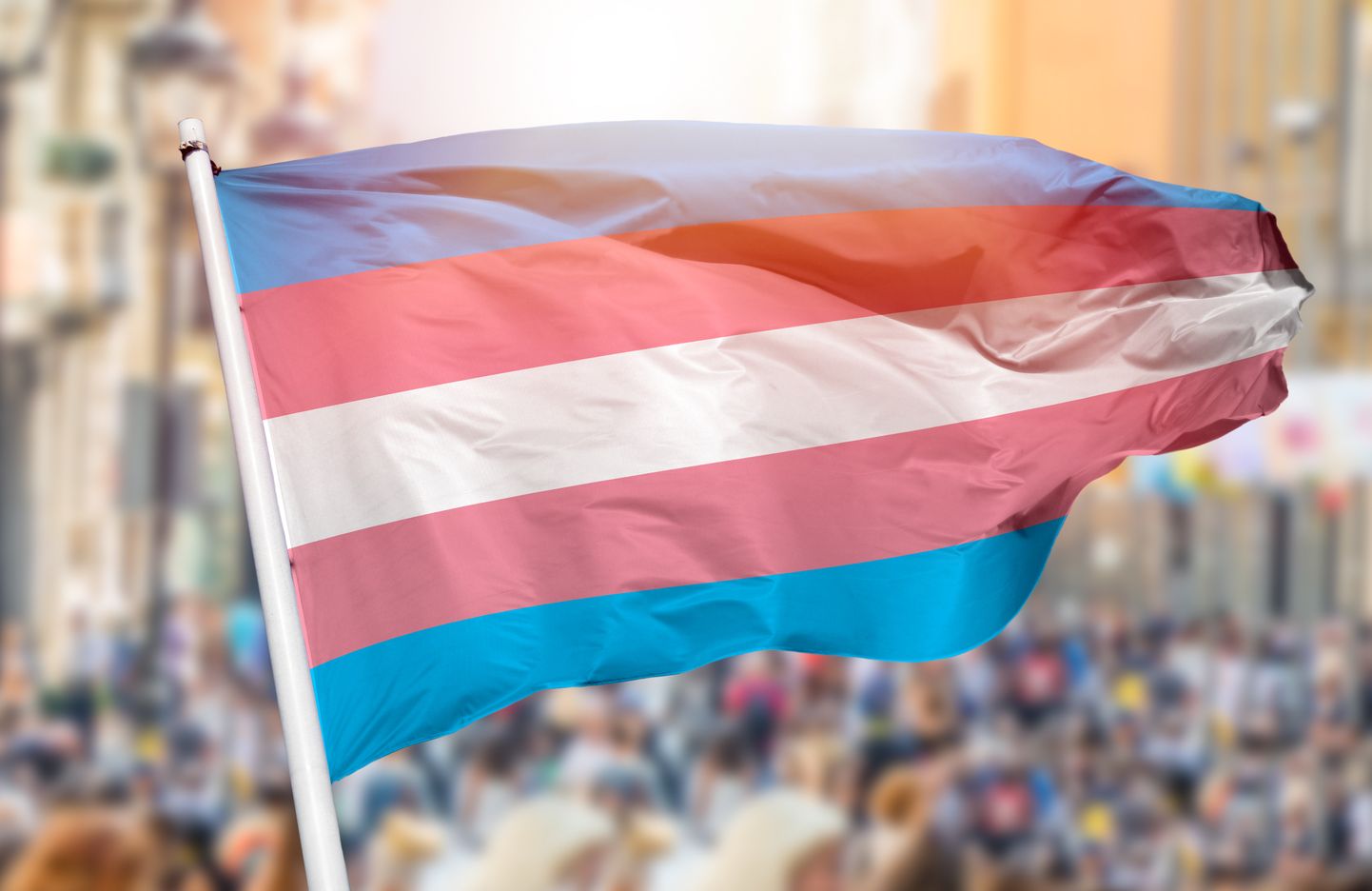 Флаг трансгендеров. Иллюстративное фото