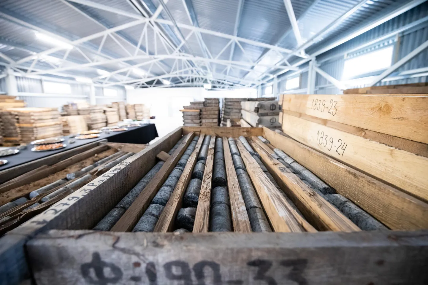 Puursüdamikud Eesti geoloogiateenistuse Arbavere puursüdamike hoidlas.